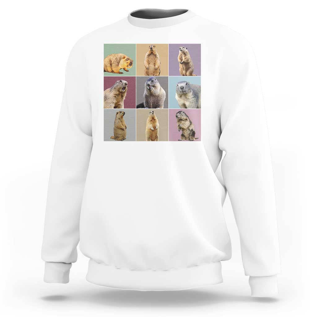 In My Groundhog Era Sweatshirt Funny Woodchuck