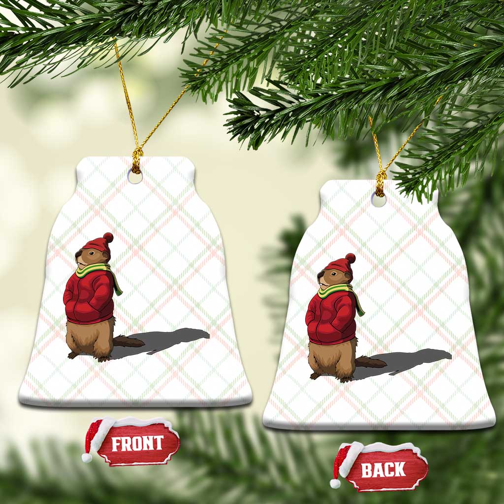 Groundhog Shadow Ceramic Ornament Funny Woodchuck Ground Hog Meteorlogy - Wonder Print Shop