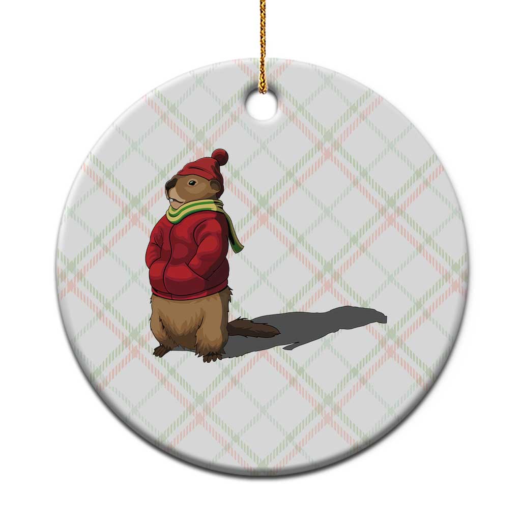 Groundhog Shadow Ceramic Ornament Funny Woodchuck Ground Hog Meteorlogy - Wonder Print Shop
