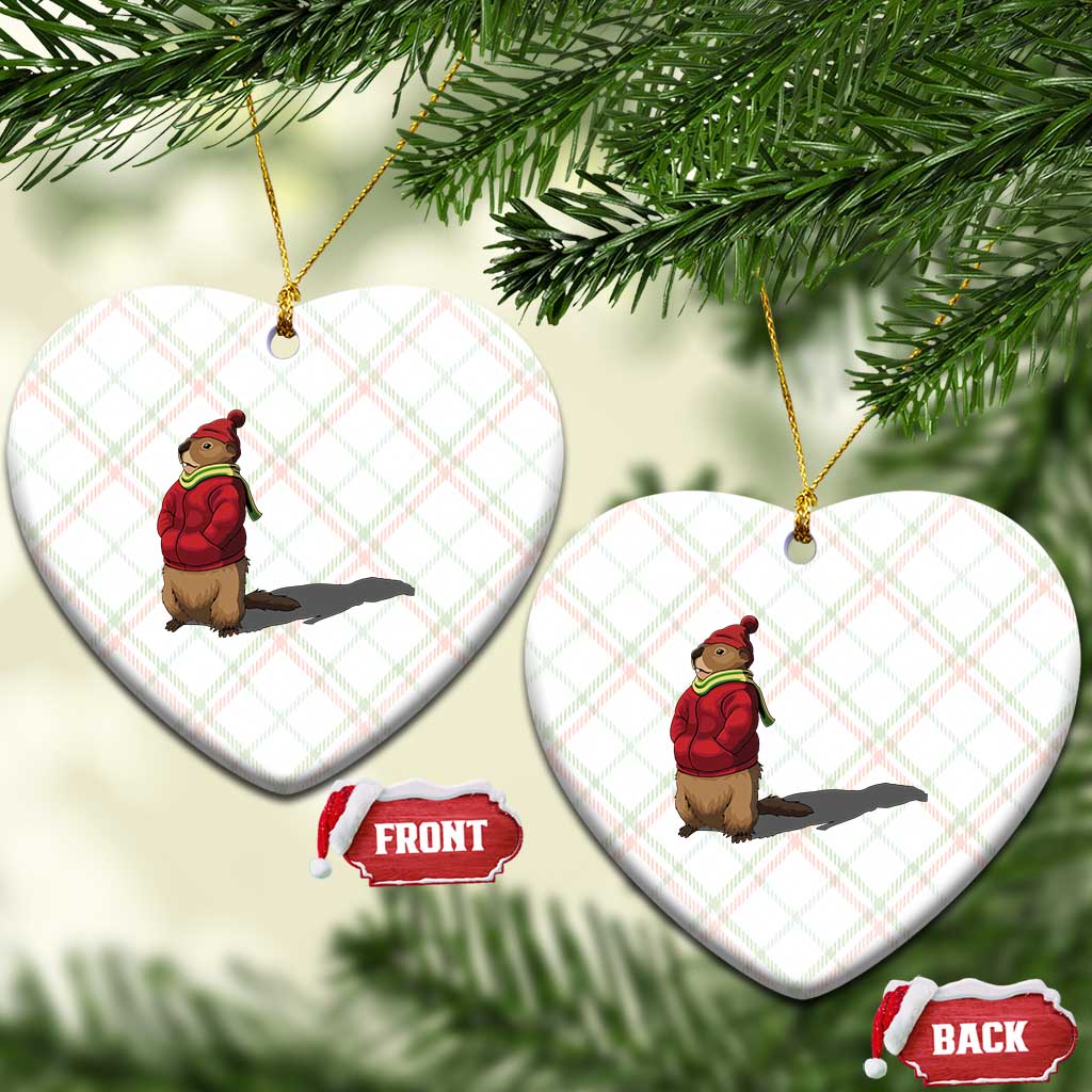 Groundhog Shadow Ceramic Ornament Funny Woodchuck Ground Hog Meteorlogy - Wonder Print Shop