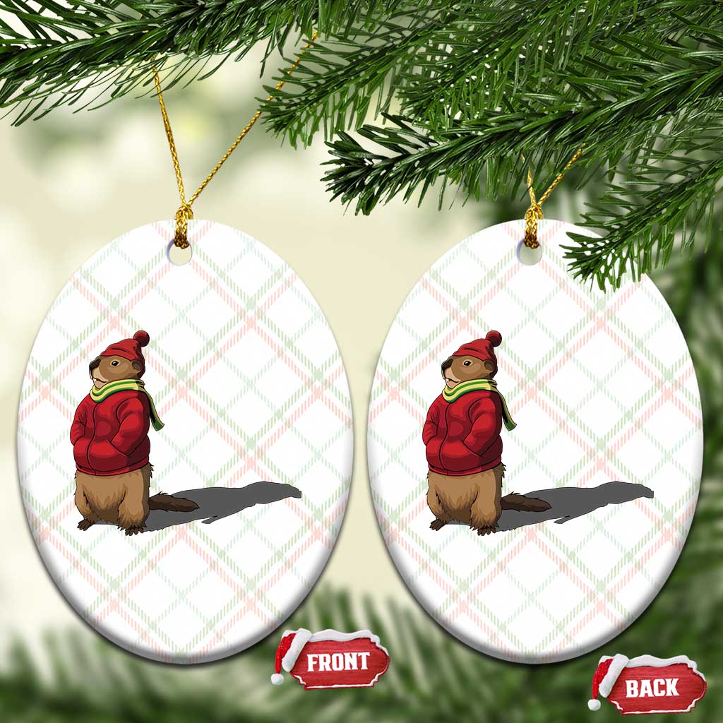 Groundhog Shadow Ceramic Ornament Funny Woodchuck Ground Hog Meteorlogy - Wonder Print Shop