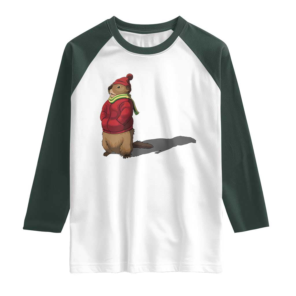 Groundhog Shadow Raglan Shirt Funny Woodchuck Ground Hog Meteorlogy