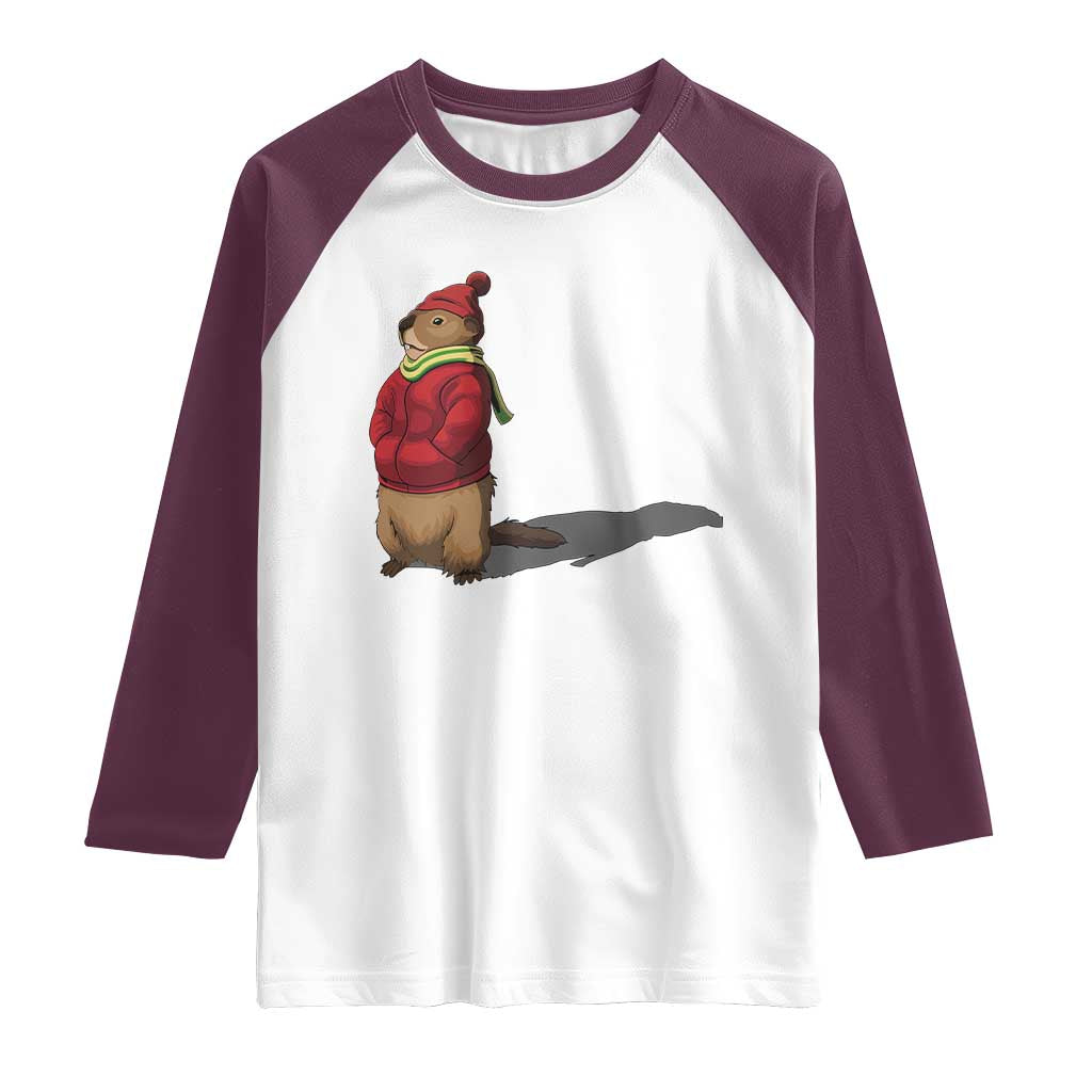 Groundhog Shadow Raglan Shirt Funny Woodchuck Ground Hog Meteorlogy