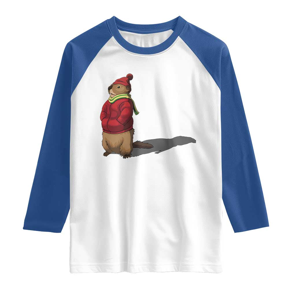 Groundhog Shadow Raglan Shirt Funny Woodchuck Ground Hog Meteorlogy