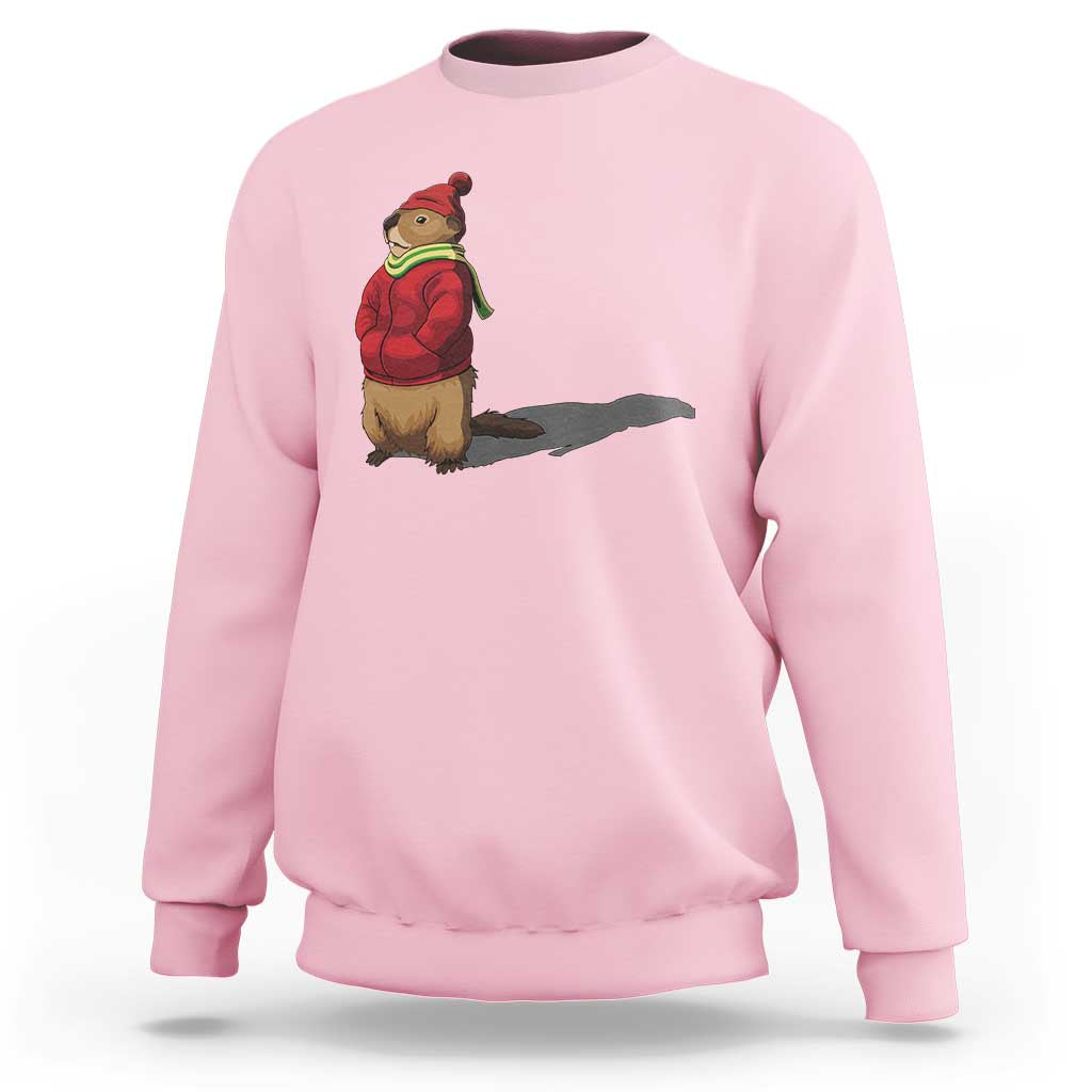 Groundhog Shadow Sweatshirt Funny Woodchuck Ground Hog Meteorlogy