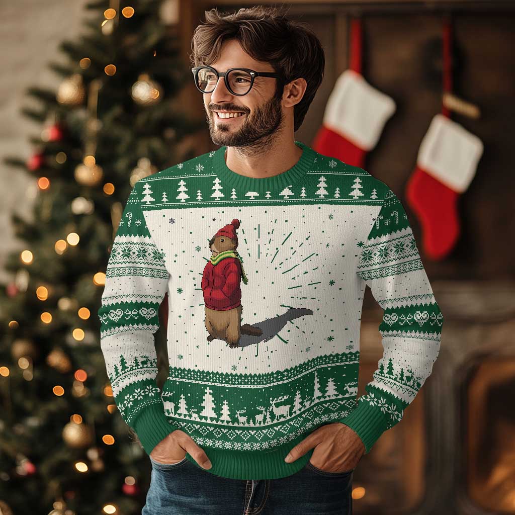 Groundhog Shadow Knitted Sweatshirt Funny Woodchuck Ground Hog Meteorlogy