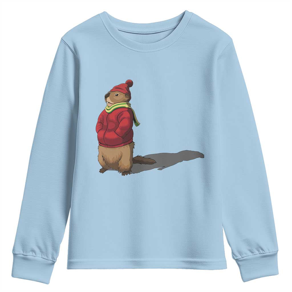 Groundhog Shadow Youth Sweatshirt Funny Woodchuck Ground Hog Meteorlogy