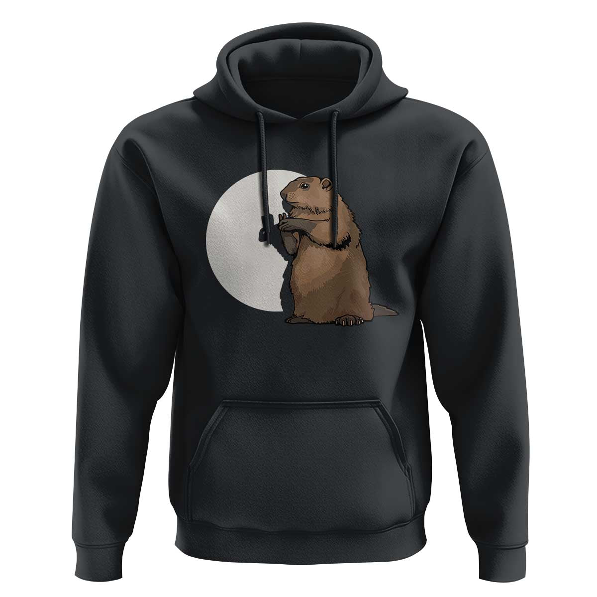 Groundhog Shadow Meteorlogy Hoodie Woodchuck Puppet Funny Gift