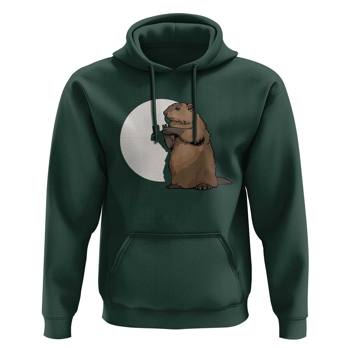 Groundhog Shadow Meteorlogy Hoodie Woodchuck Puppet Funny Gift