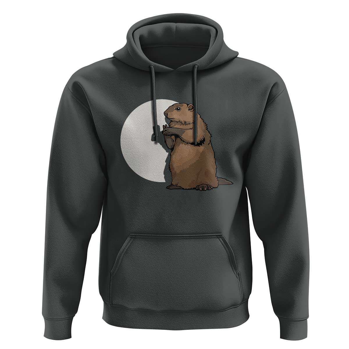 Groundhog Shadow Meteorlogy Hoodie Woodchuck Puppet Funny Gift
