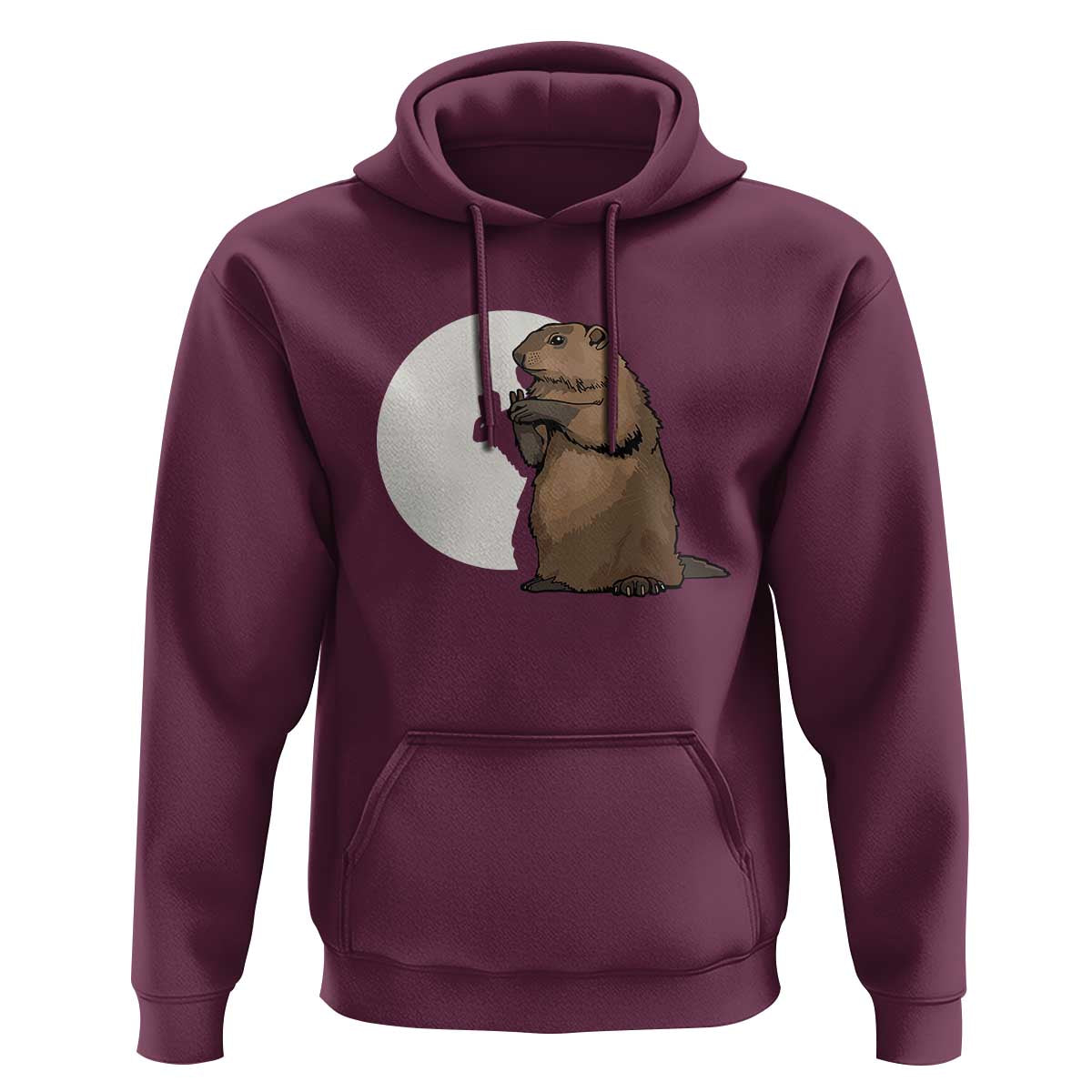 Groundhog Shadow Meteorlogy Hoodie Woodchuck Puppet Funny Gift