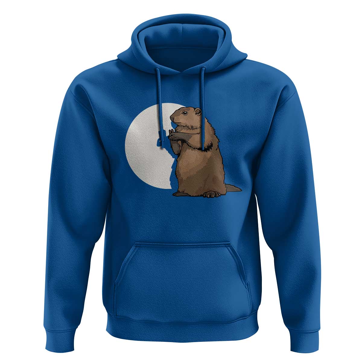 Groundhog Shadow Meteorlogy Hoodie Woodchuck Puppet Funny Gift