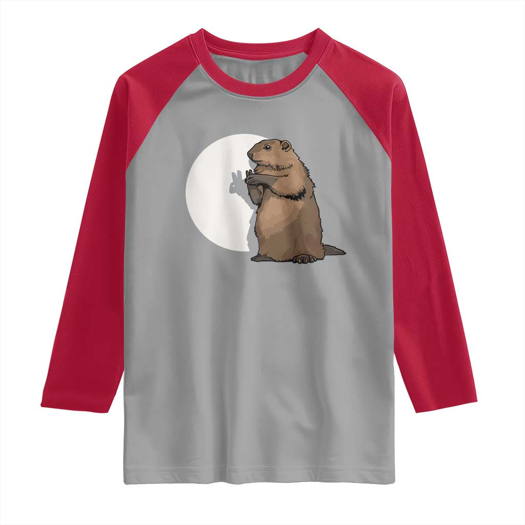 Groundhog Shadow Meteorlogy Raglan Shirt Woodchuck Puppet Funny Gift