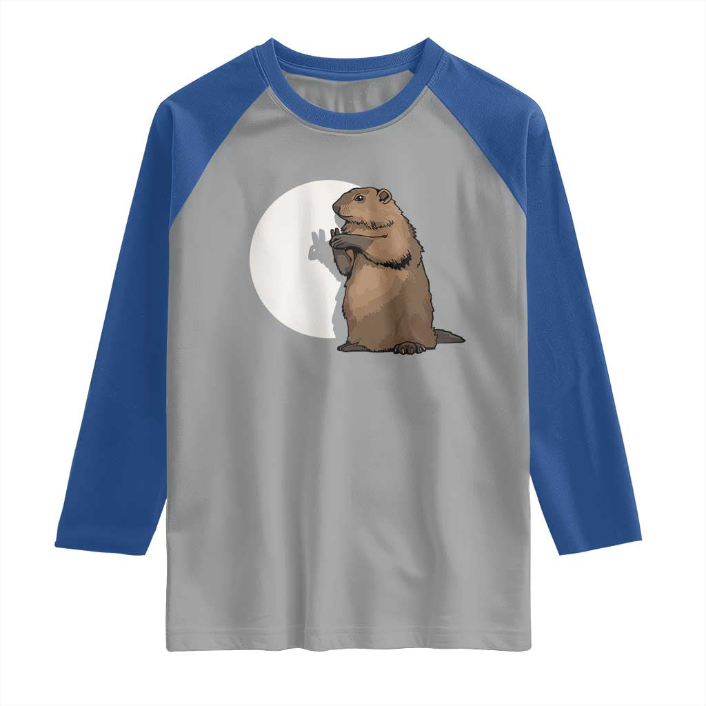 Groundhog Shadow Meteorlogy Raglan Shirt Woodchuck Puppet Funny Gift