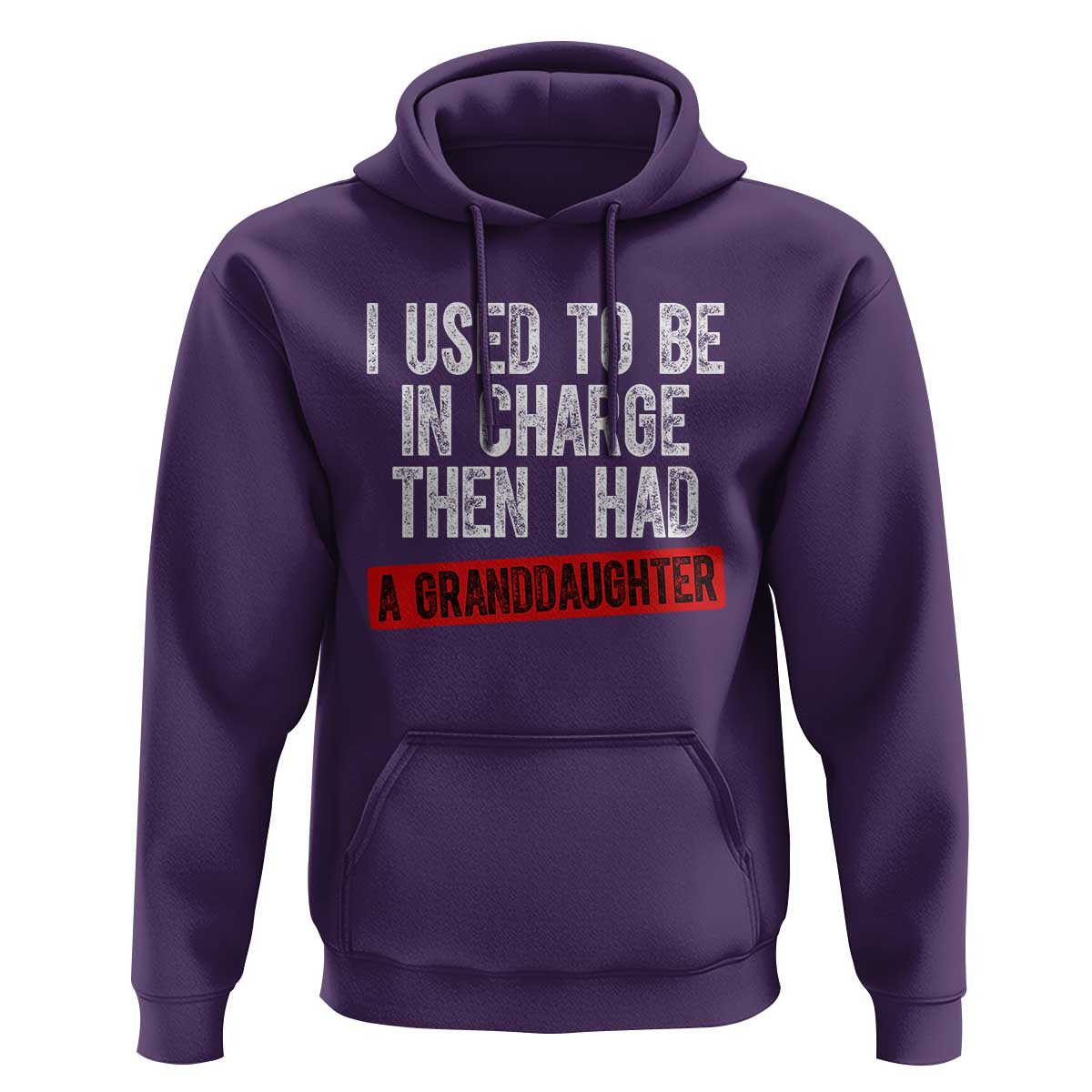 Funny Grandpas Girls Quote Classic Graphic Hoodie I Used To Be In Charge Then I Had A Granddaughter