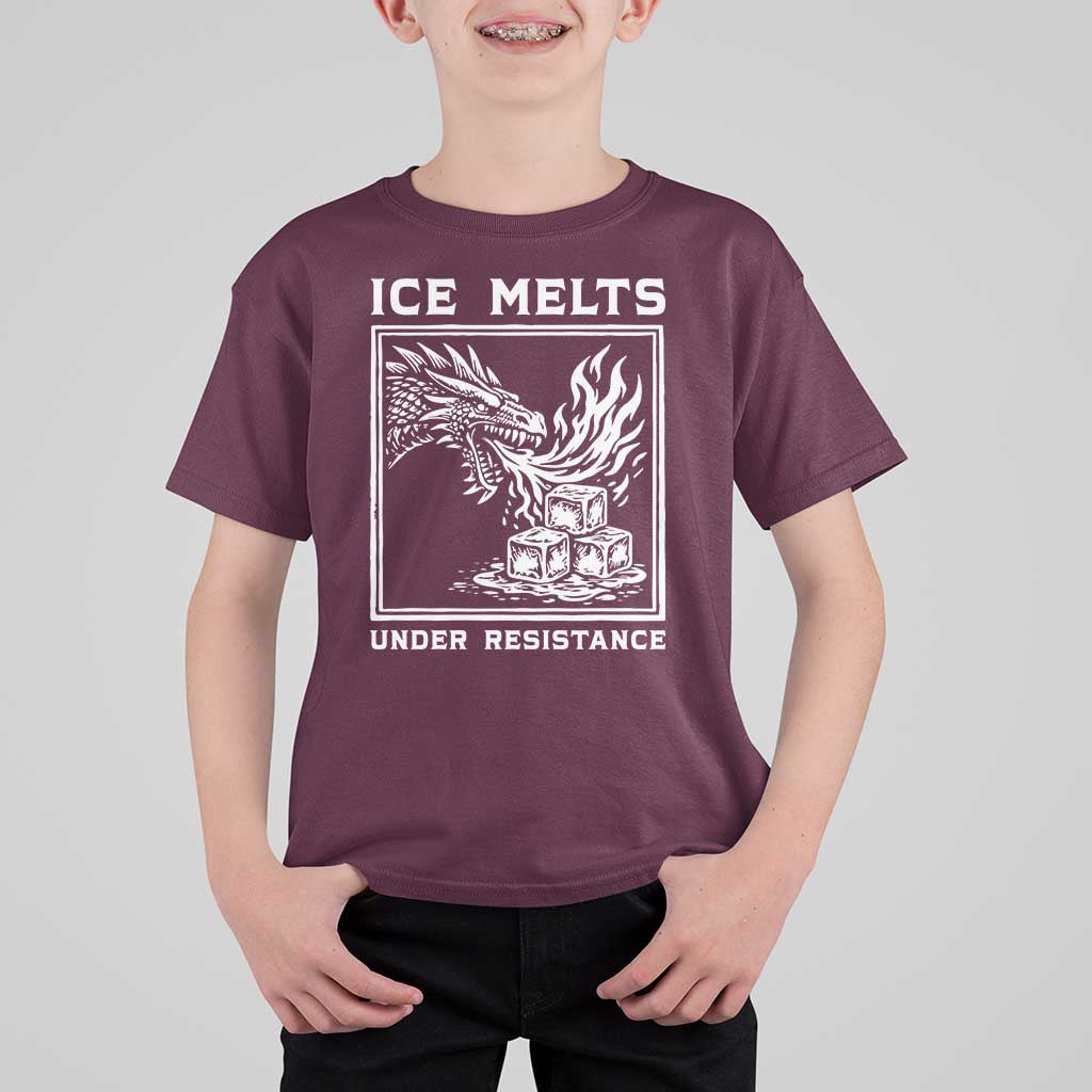 Ice Melts Under Resistance T Shirt For Kid Against Ice Protest Dragon Graphic with Fire