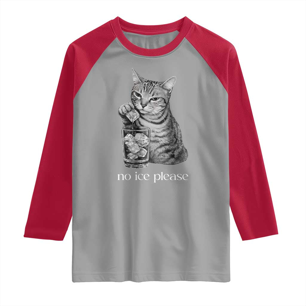 No Ice Please Realistic Angry Cat Graphic Raglan Shirt Resistance Against Ice Protest