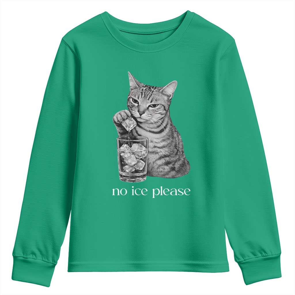 No Ice Please Realistic Angry Cat Graphic Youth Sweatshirt Resistance Against Ice Protest