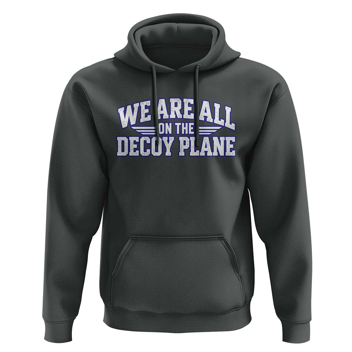 We Are All On The Decoy Plane Theories Aviator Wings Blue Hoodie Funny Satirical Meme Conspiracy Commentary