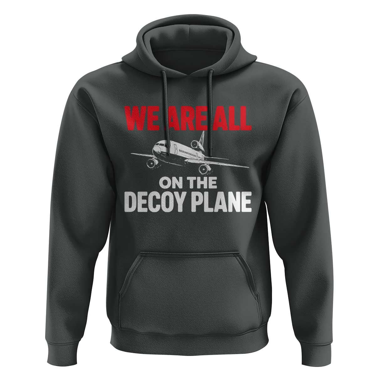 We Are All On The Decoy Plane Theories Trijet Aircraft Graphic Hoodie Funny Satirical Meme Conspiracy Commentary