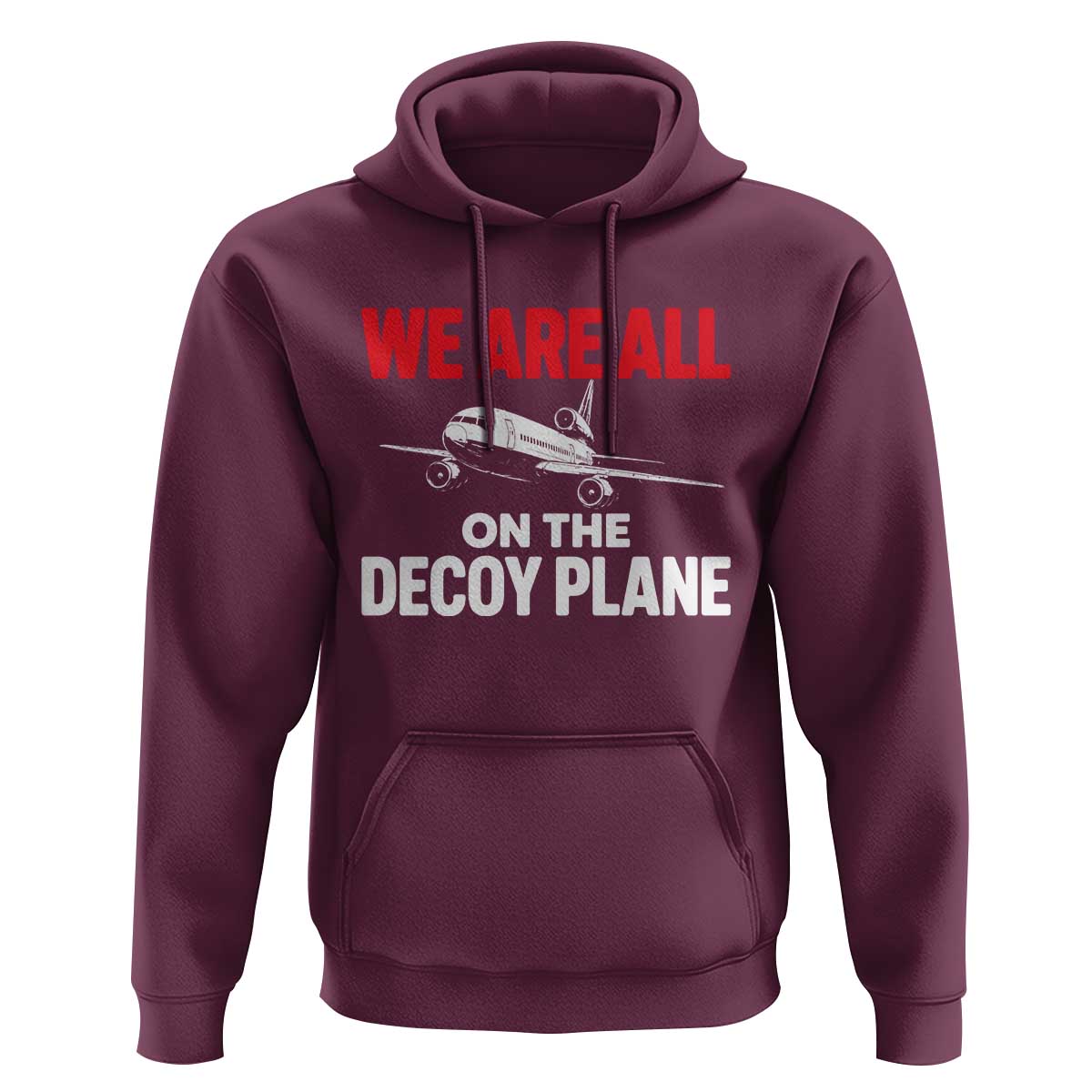 We Are All On The Decoy Plane Theories Trijet Aircraft Graphic Hoodie Funny Satirical Meme Conspiracy Commentary