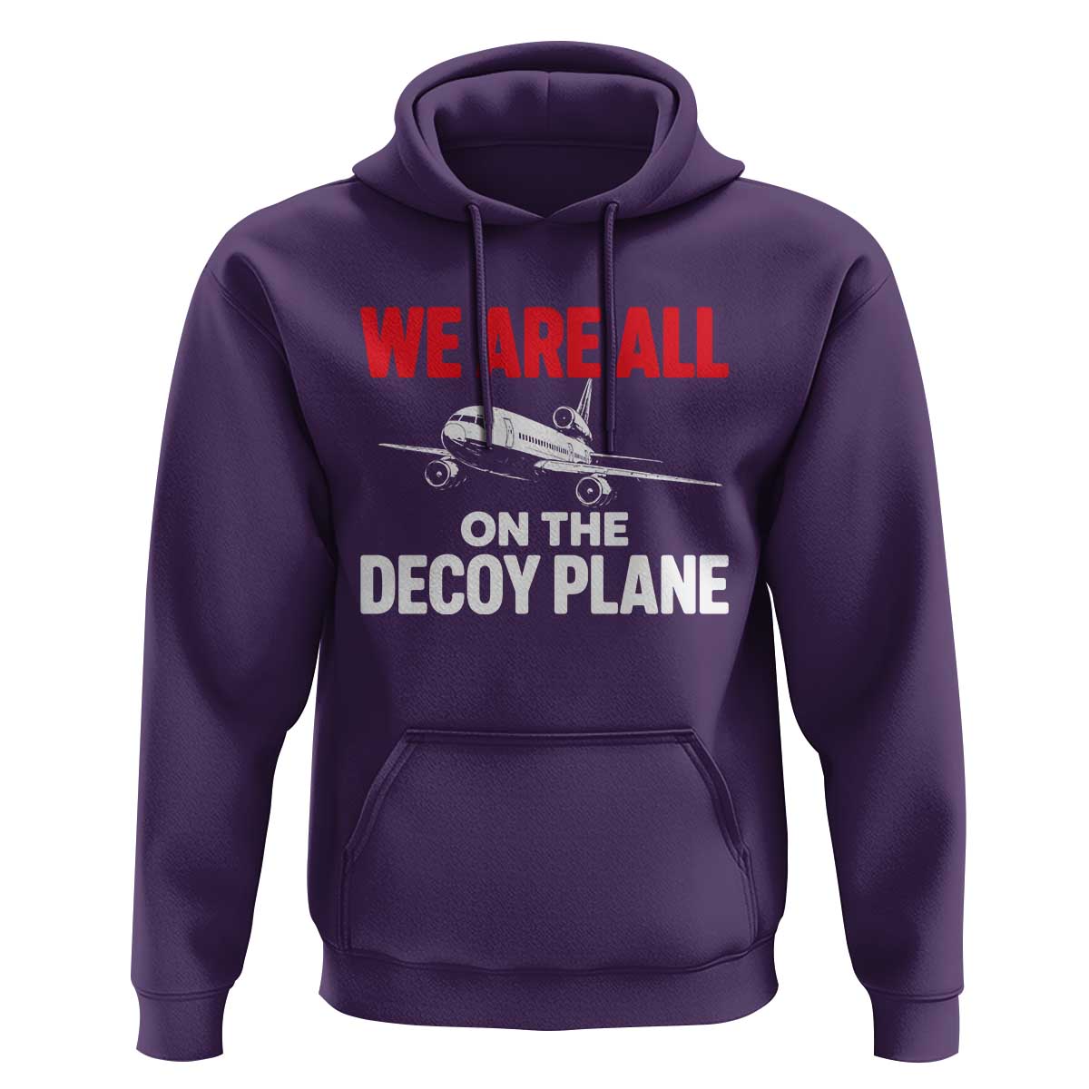 We Are All On The Decoy Plane Theories Trijet Aircraft Graphic Hoodie Funny Satirical Meme Conspiracy Commentary