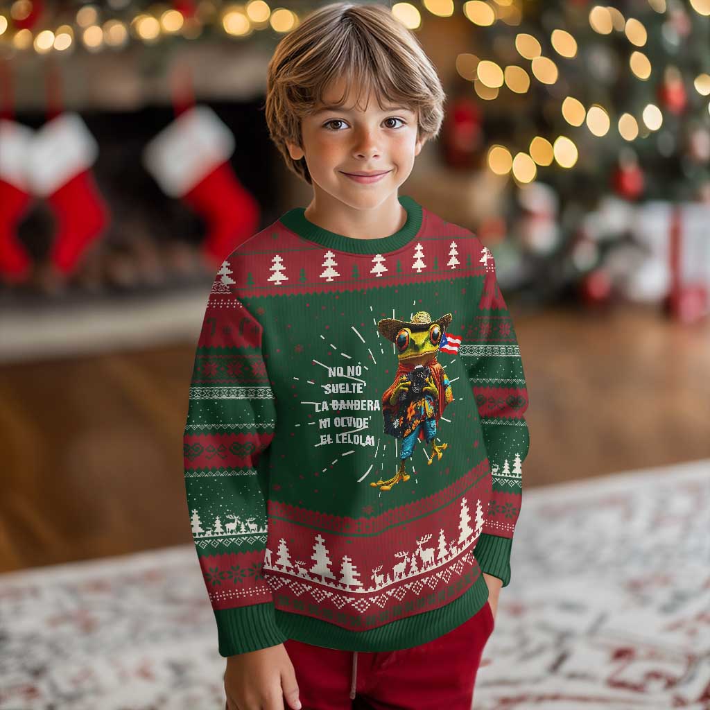 Puerto Rico Coqui' Knitted Sweatshirt Debí Tirar Más Fotos