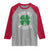 Funny St Patricks Day Drinking Raglan Shirt Drinks Well With Others Drunk Beer Lucky Shamrock