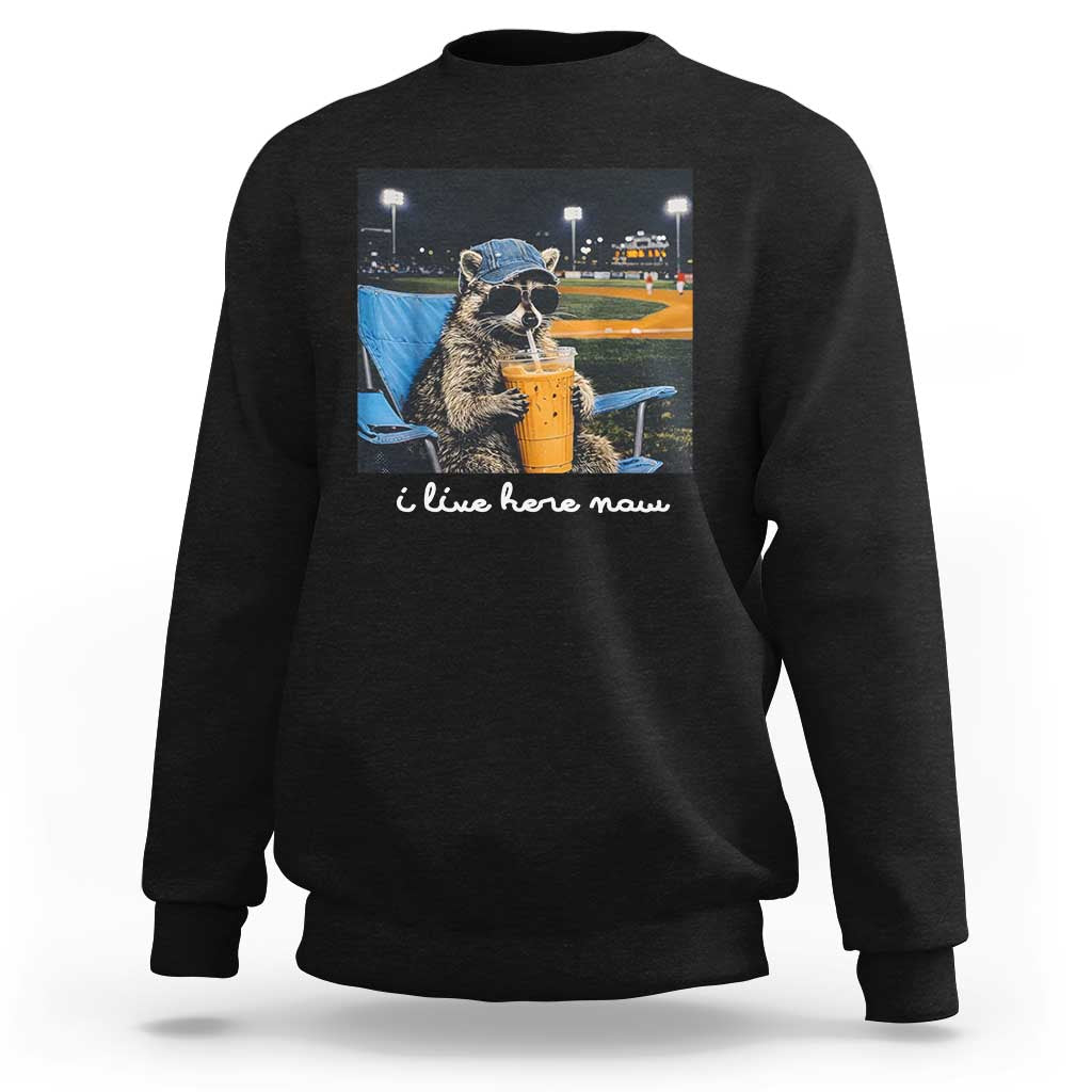 Funny Raccoon Baseball Game Day Meme Sweatshirt I Live Here Now Trash Panda Iced Coffee Night