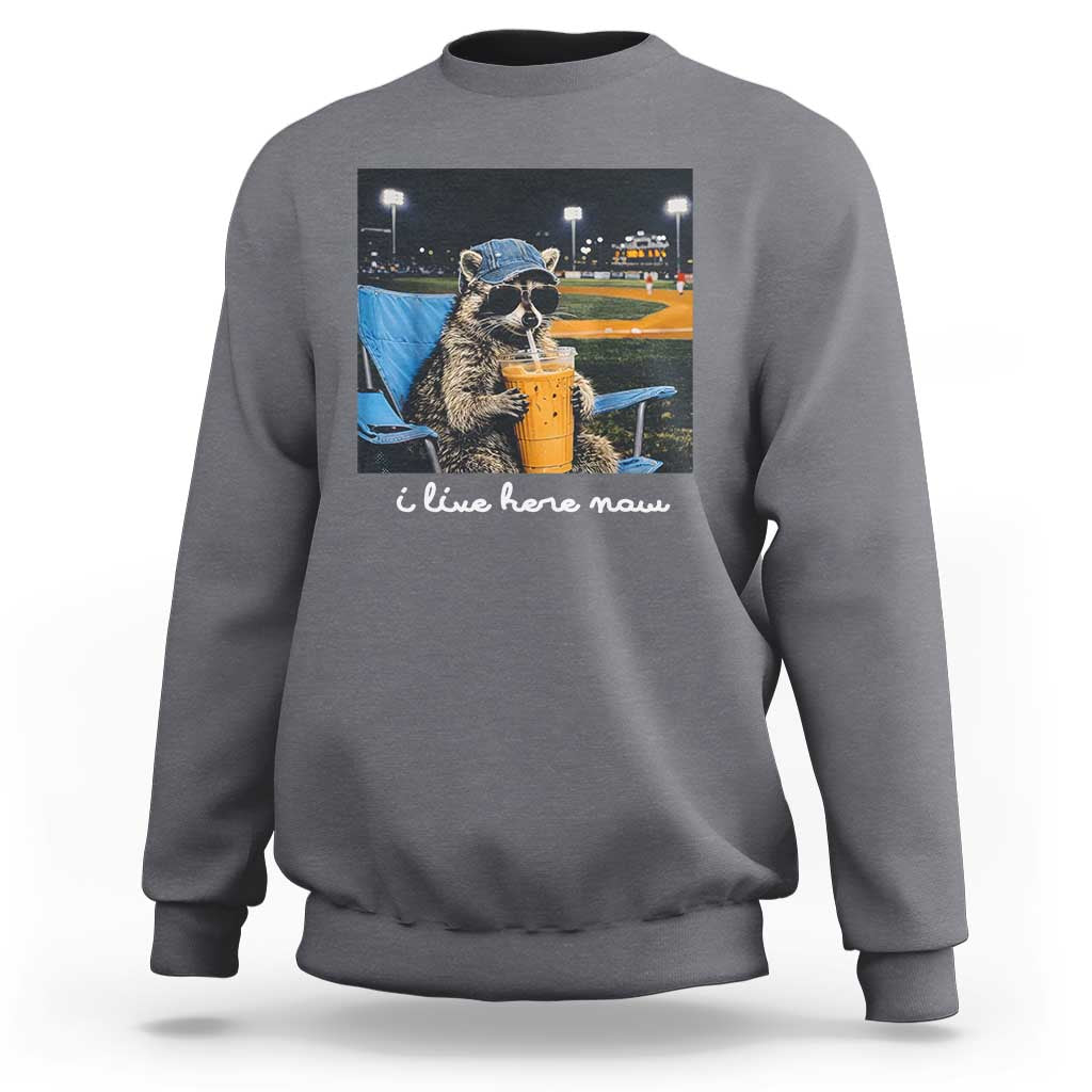 Funny Raccoon Baseball Game Day Meme Sweatshirt I Live Here Now Trash Panda Iced Coffee Night