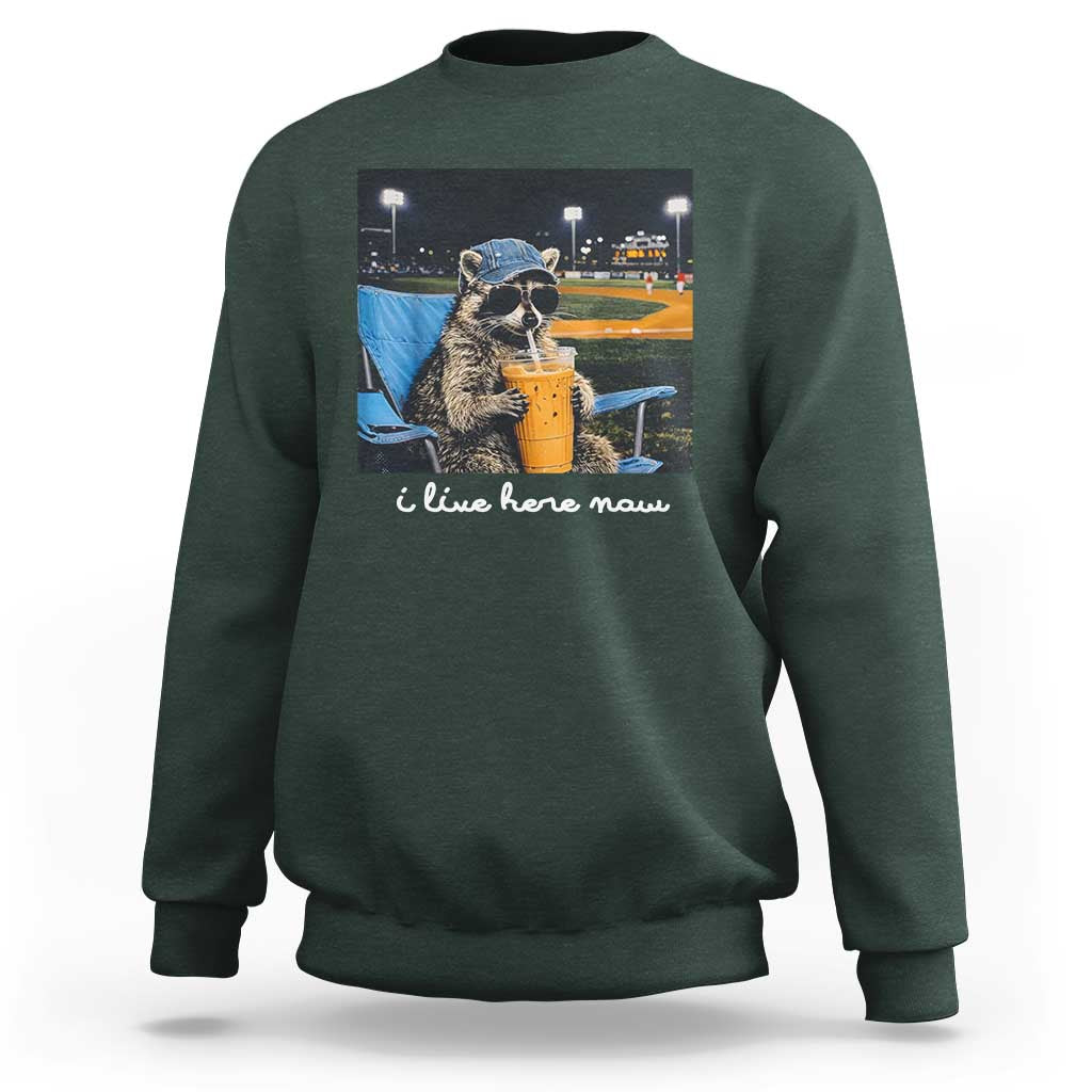 Funny Raccoon Baseball Game Day Meme Sweatshirt I Live Here Now Trash Panda Iced Coffee Night