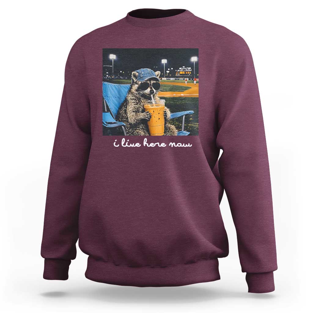 Funny Raccoon Baseball Game Day Meme Sweatshirt I Live Here Now Trash Panda Iced Coffee Night
