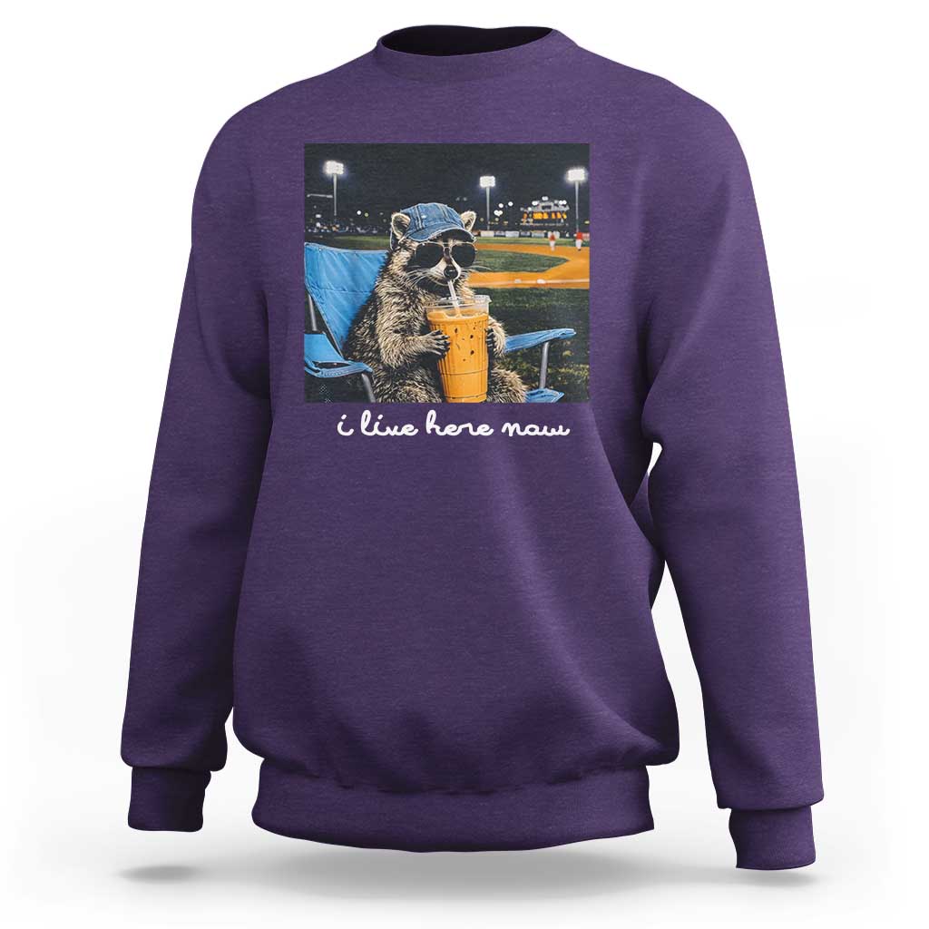 Funny Raccoon Baseball Game Day Meme Sweatshirt I Live Here Now Trash Panda Iced Coffee Night