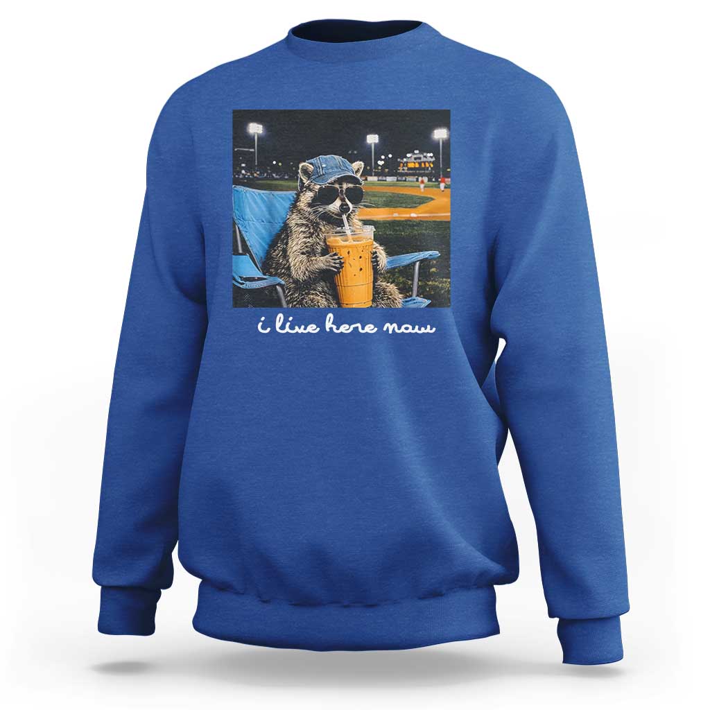Funny Raccoon Baseball Game Day Meme Sweatshirt I Live Here Now Trash Panda Iced Coffee Night