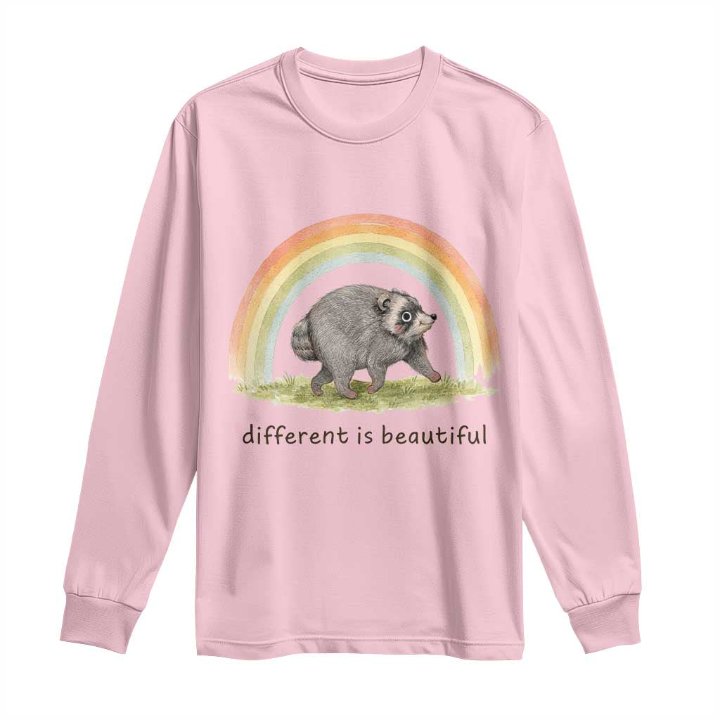 Cute Viral Raccoon Positive Quote Long Sleeve Shirt Different Is Beautiful Pastel Rainbow Graphic