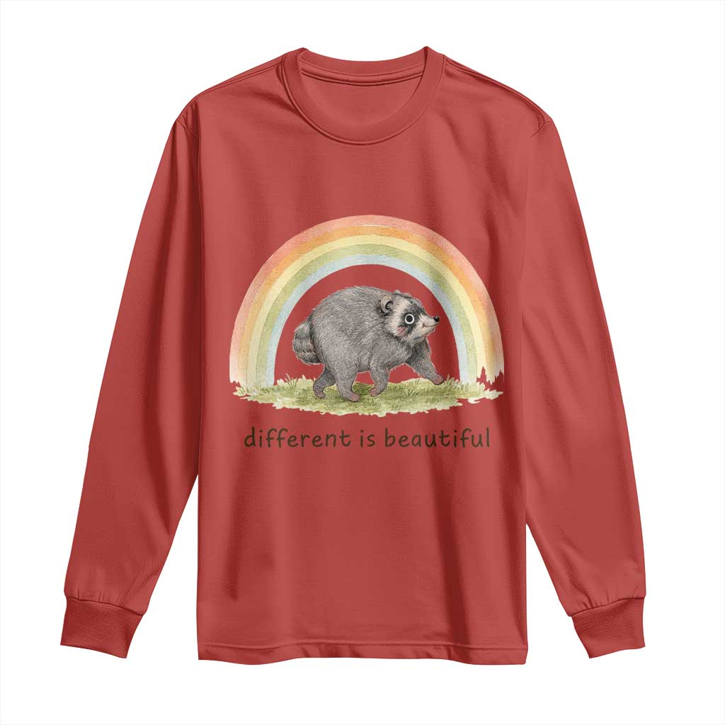 Cute Viral Raccoon Positive Quote Long Sleeve Shirt Different Is Beautiful Pastel Rainbow Graphic