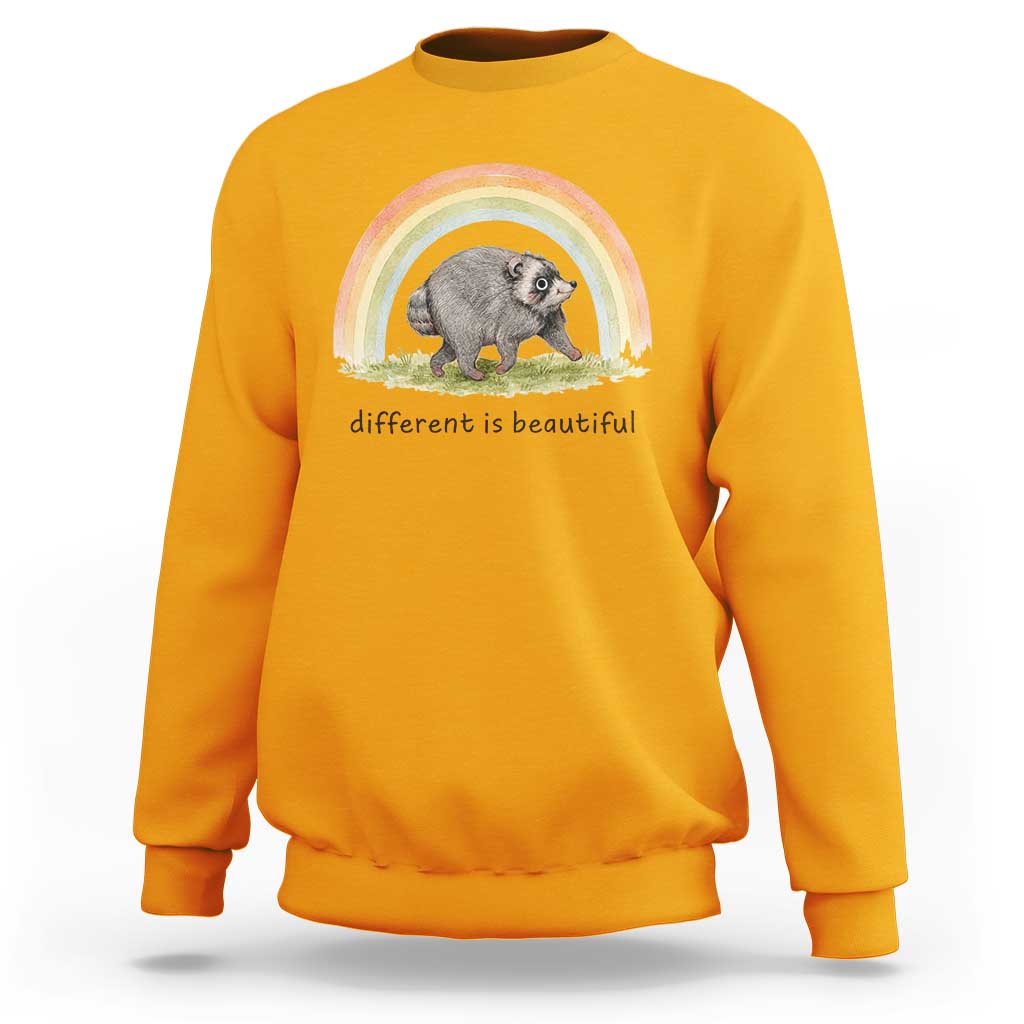 Cute Viral Raccoon Positive Quote Sweatshirt Different Is Beautiful Pastel Rainbow Graphic