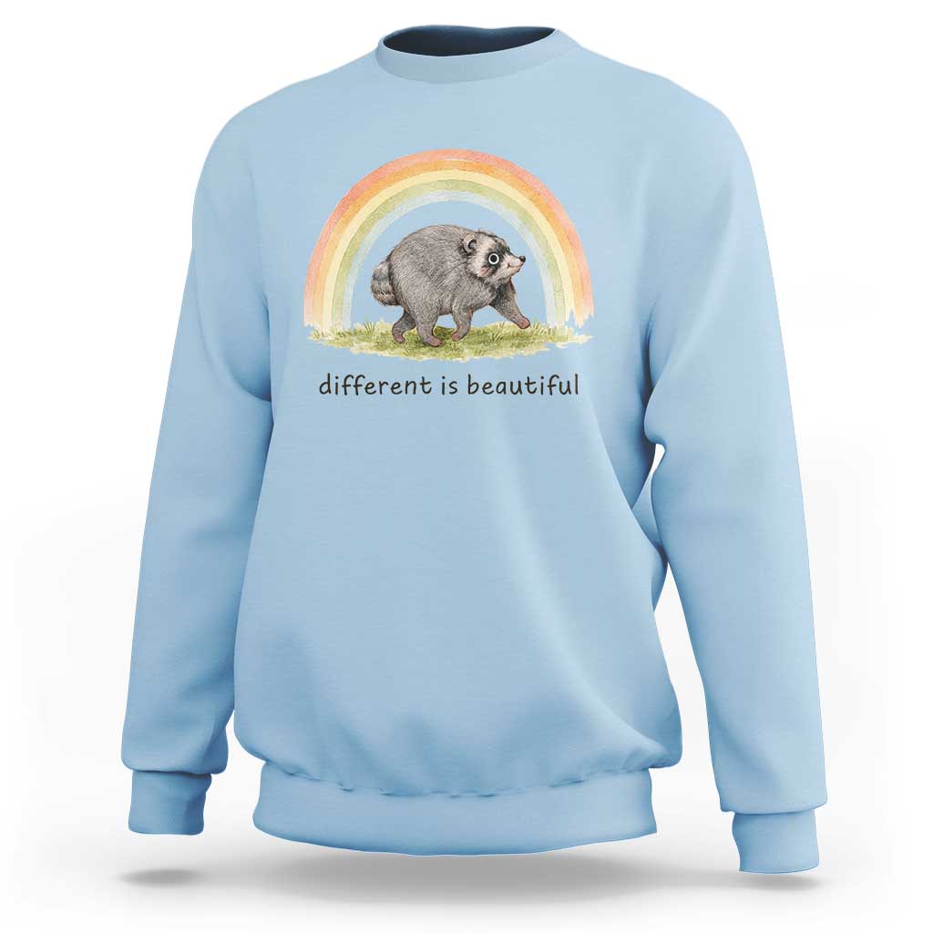 Cute Viral Raccoon Positive Quote Sweatshirt Different Is Beautiful Pastel Rainbow Graphic