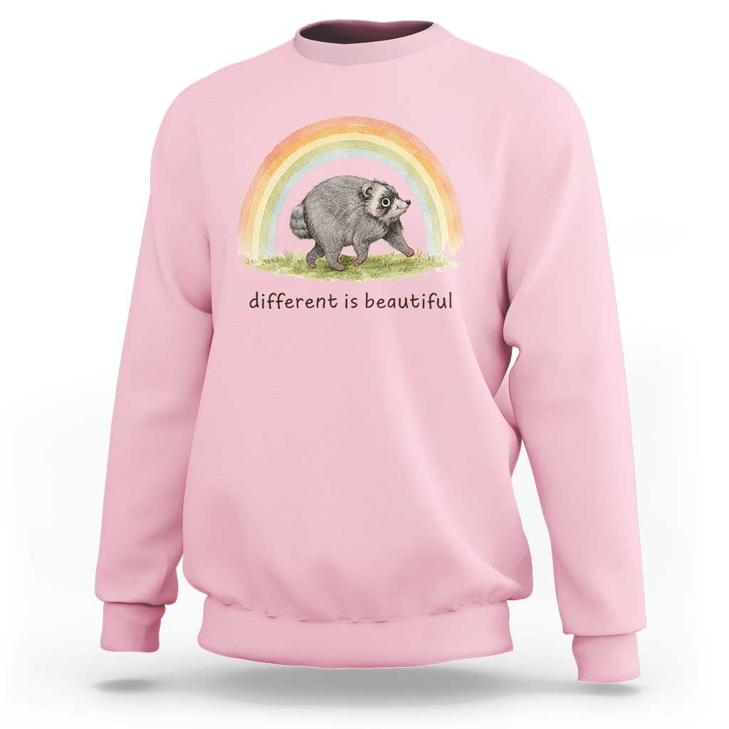 Cute Viral Raccoon Positive Quote Sweatshirt Different Is Beautiful Pastel Rainbow Graphic