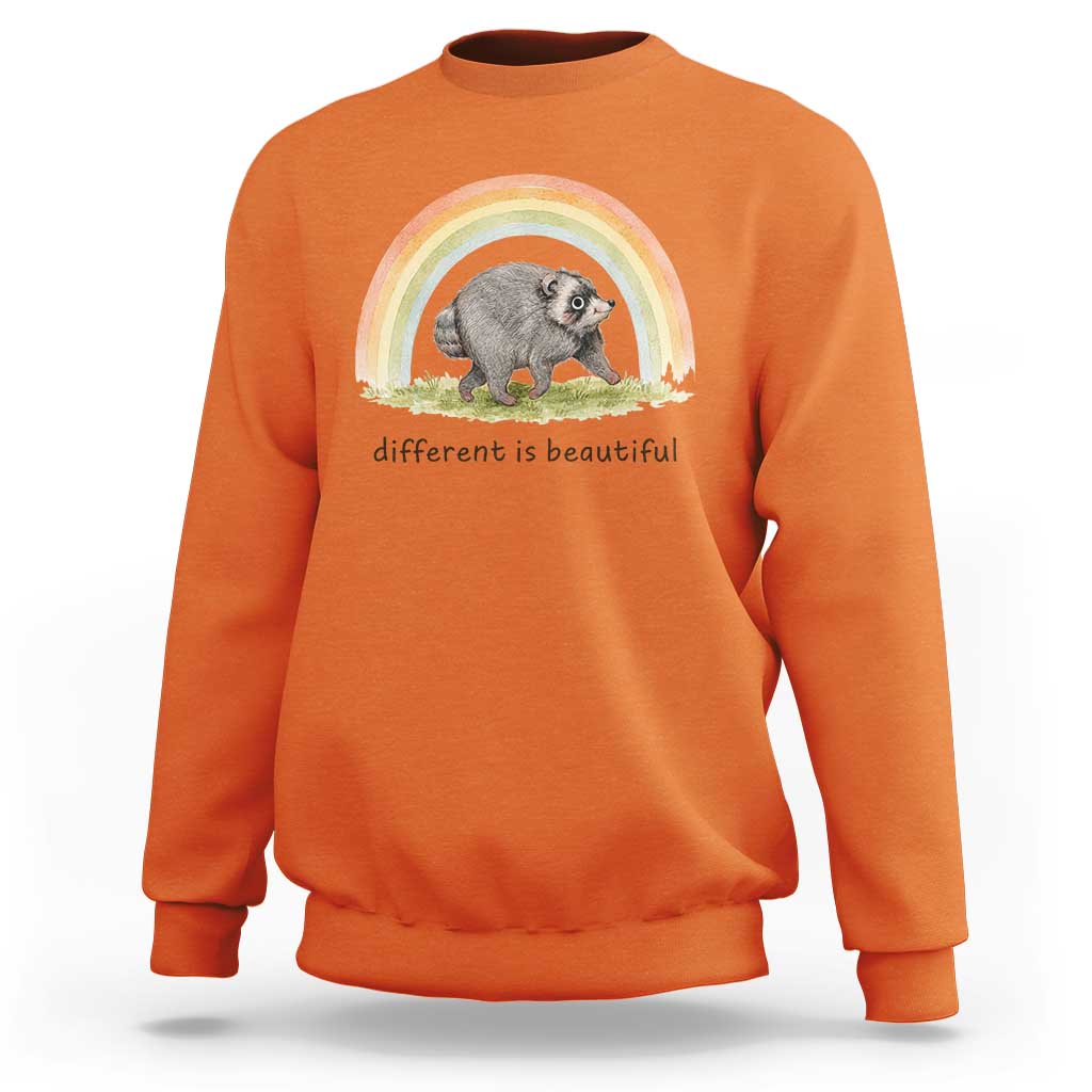 Cute Viral Raccoon Positive Quote Sweatshirt Different Is Beautiful Pastel Rainbow Graphic