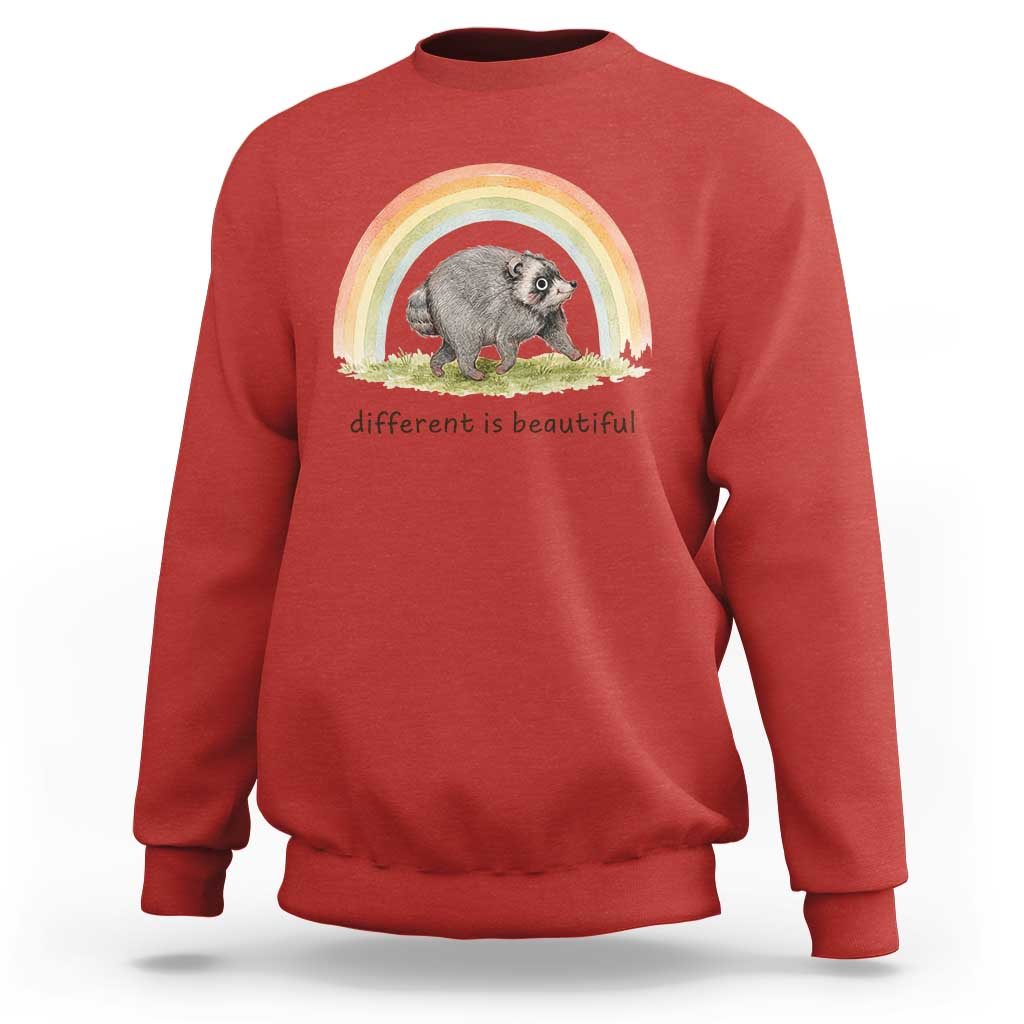 Cute Viral Raccoon Positive Quote Sweatshirt Different Is Beautiful Pastel Rainbow Graphic