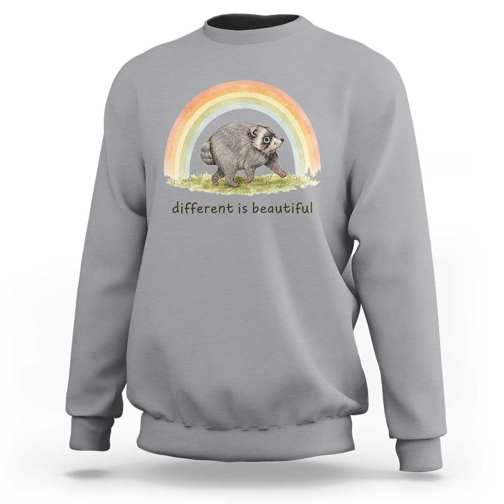 Cute Viral Raccoon Positive Quote Sweatshirt Different Is Beautiful Pastel Rainbow Graphic