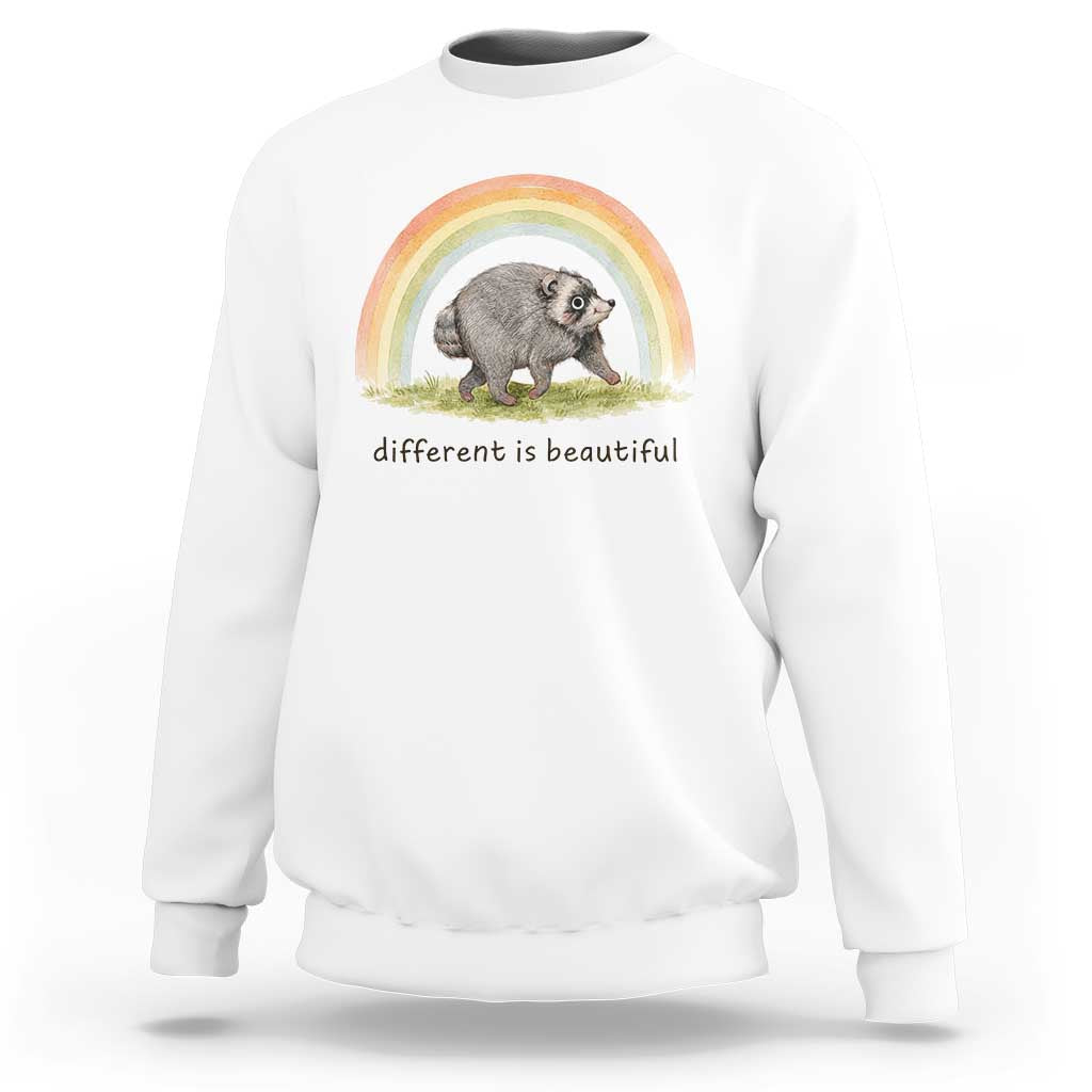 Cute Viral Raccoon Positive Quote Sweatshirt Different Is Beautiful Pastel Rainbow Graphic