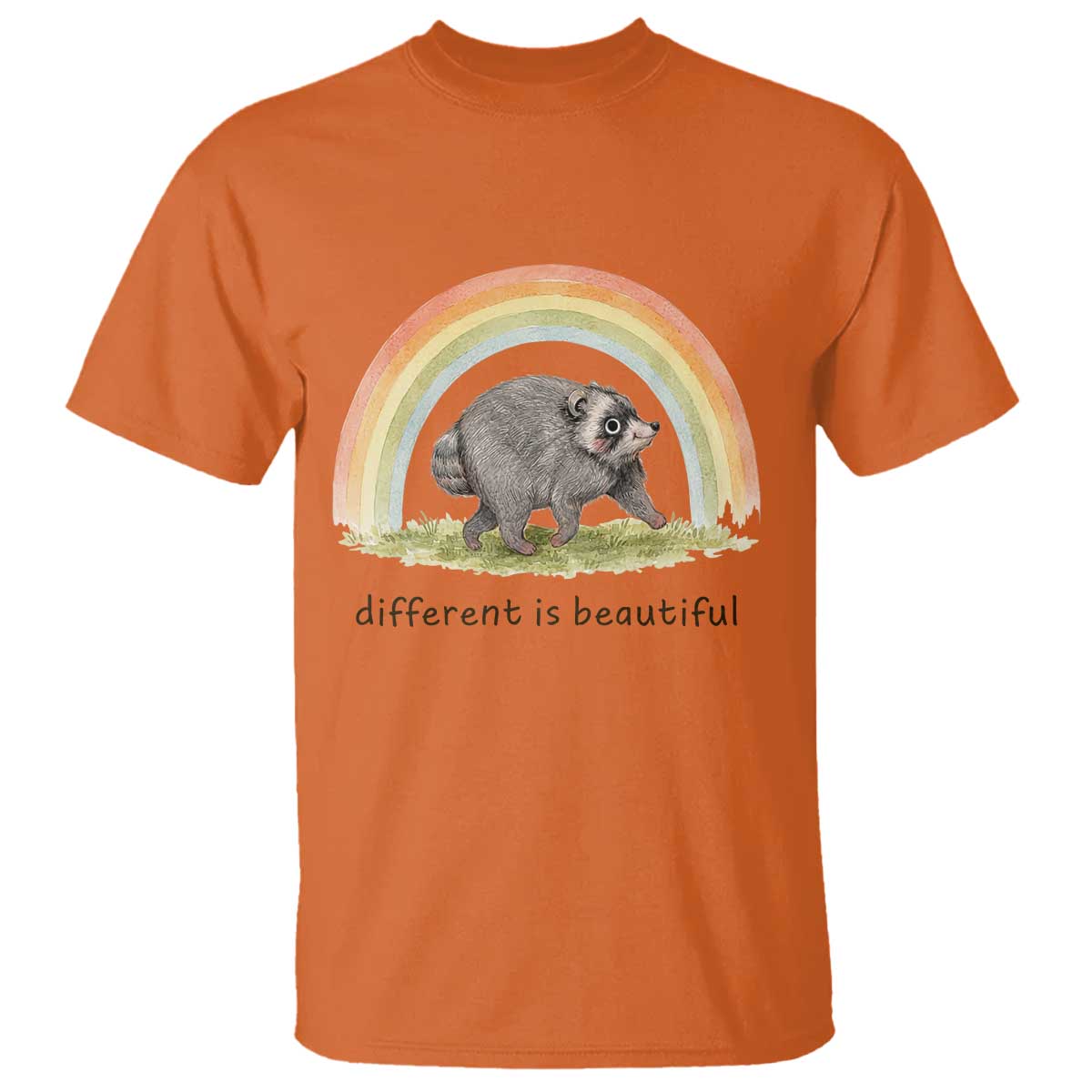 Cute Viral Raccoon Positive Quote T Shirt Different Is Beautiful Pastel Rainbow Graphic