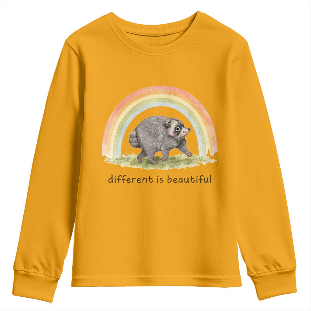 Cute Viral Raccoon Positive Quote Youth Sweatshirt Different Is Beautiful Pastel Rainbow Graphic