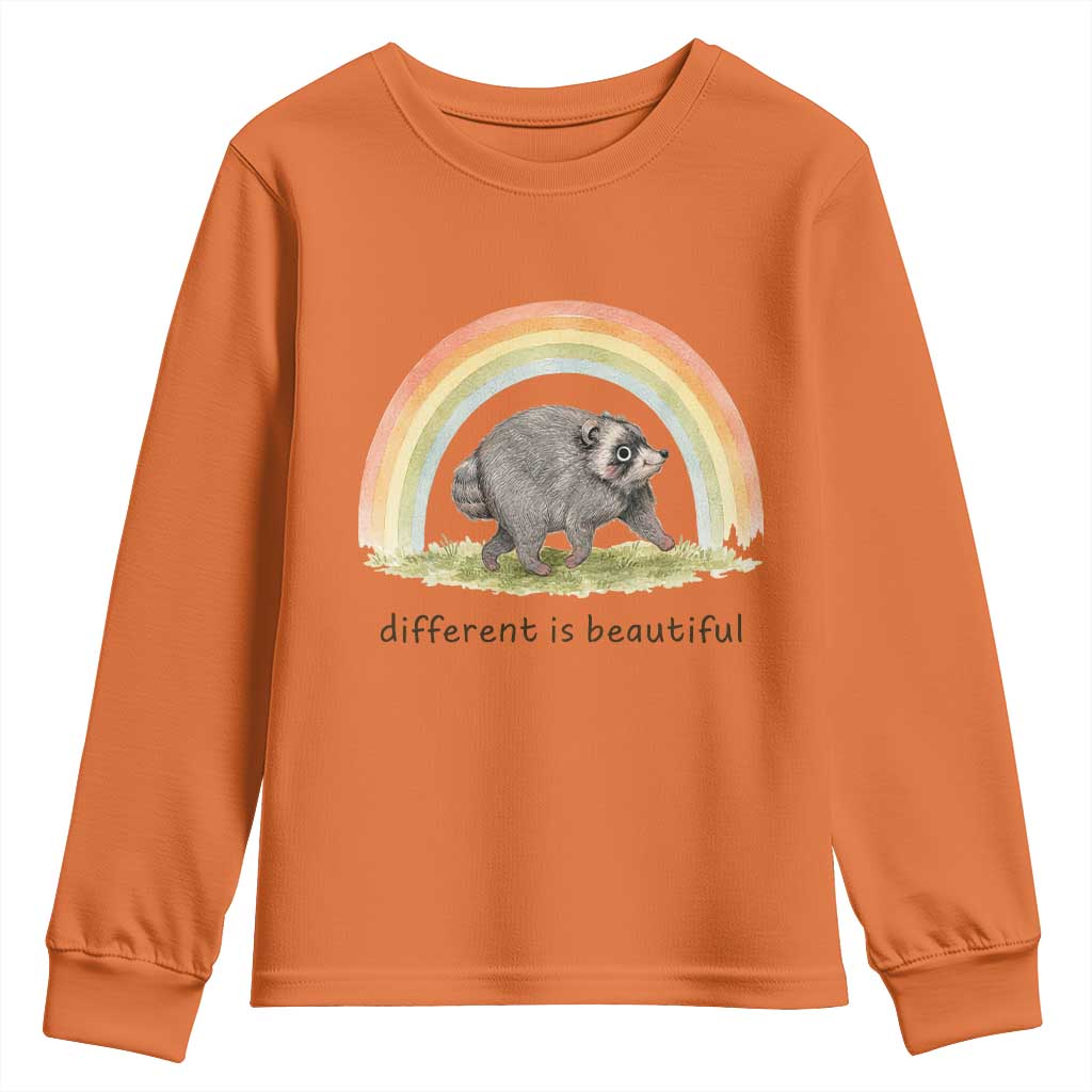 Cute Viral Raccoon Positive Quote Youth Sweatshirt Different Is Beautiful Pastel Rainbow Graphic
