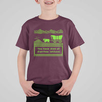 Retro 8-Bit Pixel 80s Game Over Parody Graphic T Shirt For Kid You Have Died Of Diarrhea Lettuce