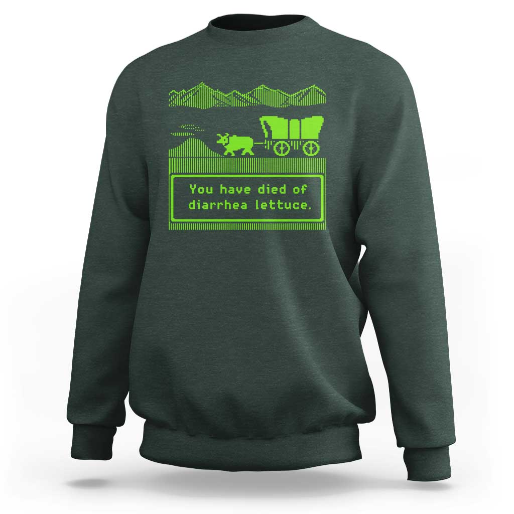 Retro 8-Bit Pixel 80s Game Over Parody Graphic Sweatshirt You Have Died Of Diarrhea Lettuce