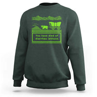 Retro 8-Bit Pixel 80s Game Over Parody Graphic Sweatshirt You Have Died Of Diarrhea Lettuce