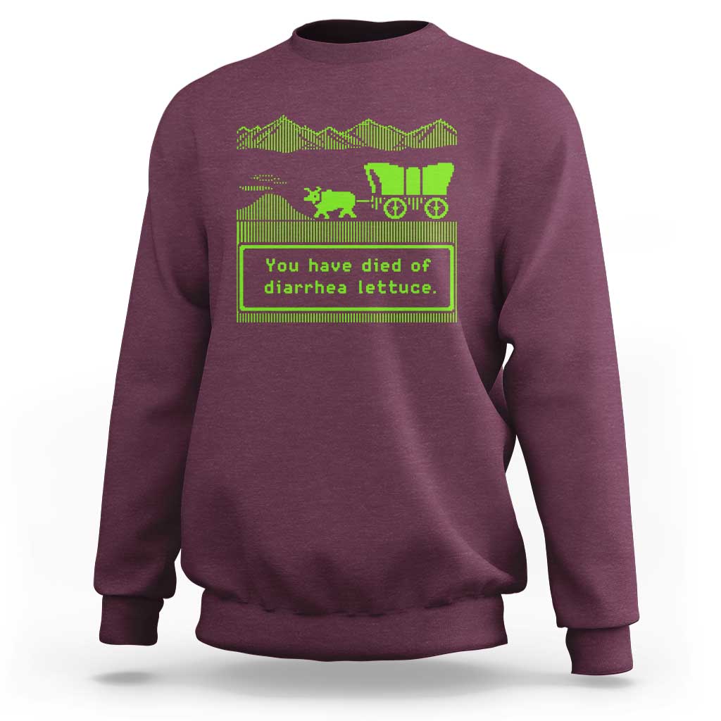 Retro 8-Bit Pixel 80s Game Over Parody Graphic Sweatshirt You Have Died Of Diarrhea Lettuce